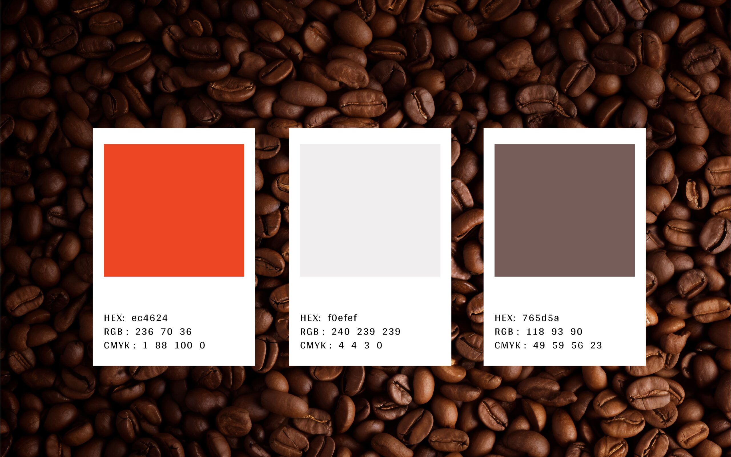 Back Local colour palette