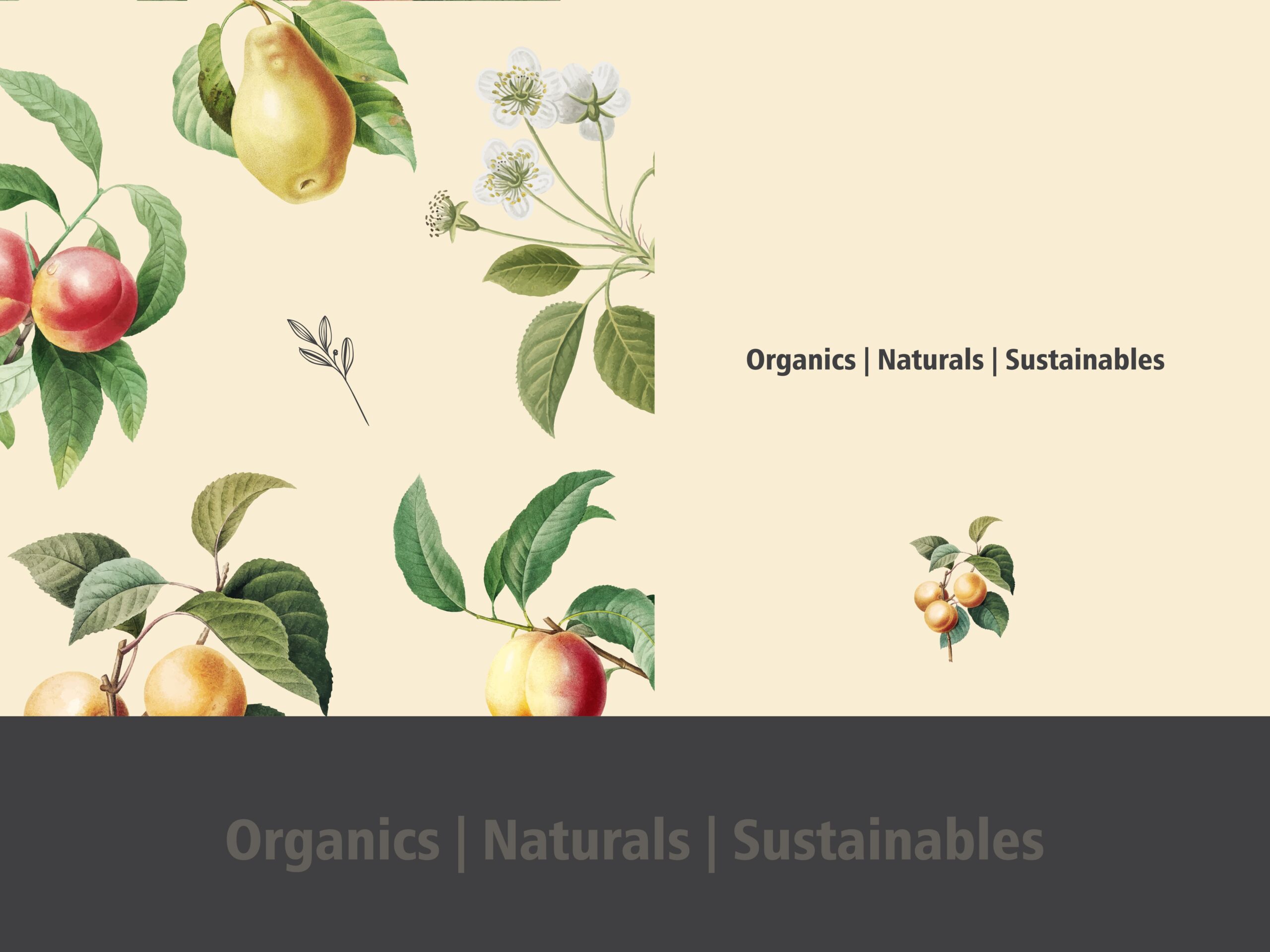 A branding presentation slide featuring the tagline "Organics | Naturals | Sustainables" alongside botanical illustrations of fruits and white blossoms on a cream and dark gray split layout.