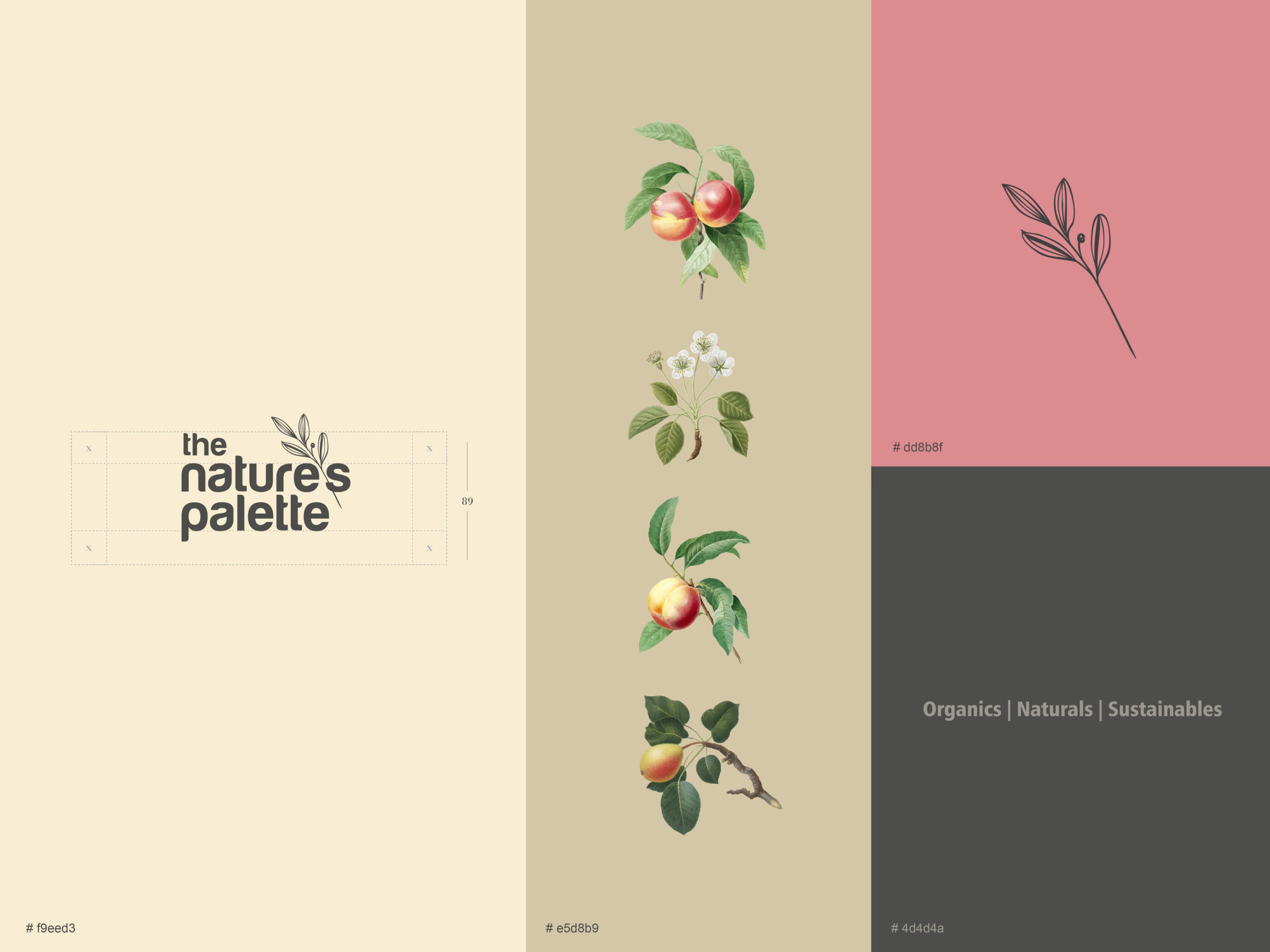 A color palette guide for "the nature's palette" showing hex codes (#19eed3, #e5d8b9, #dd8b8f, #4d4d4a) accompanied by vertical alignment guidelines and botanical fruit sketches.