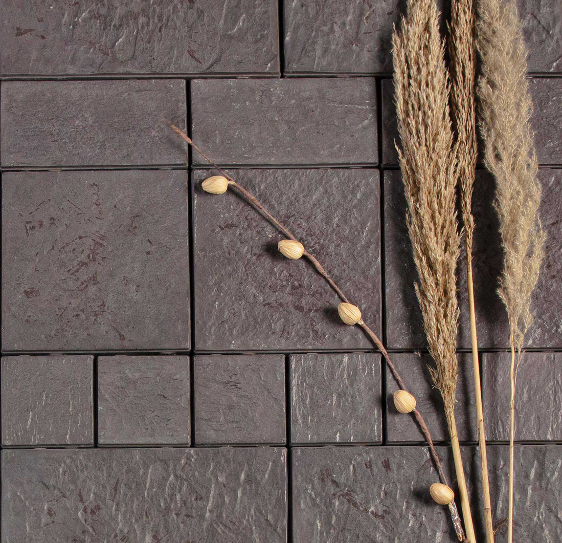 Vinayak Sanitarywares & Tiles: Dark grey textured tiles with dried pampas grass, a small shell and a piece of driftwood